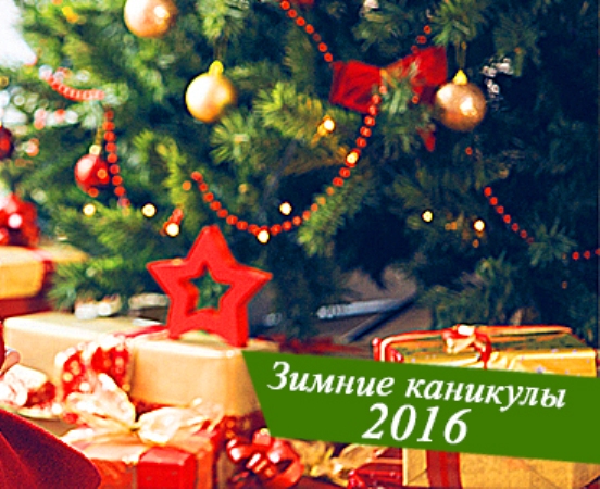 Зимние каникулы – 2016
